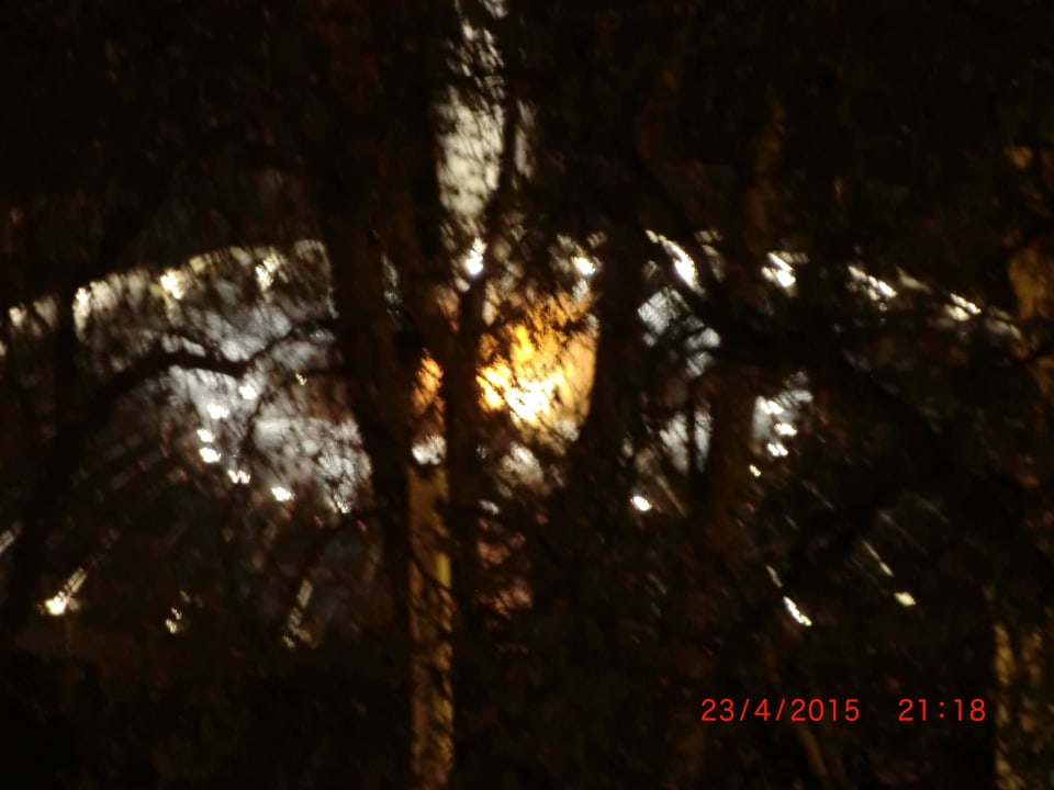  Fontäne in verschiedenen wunderschönen Farbtönen. Hotel Paris