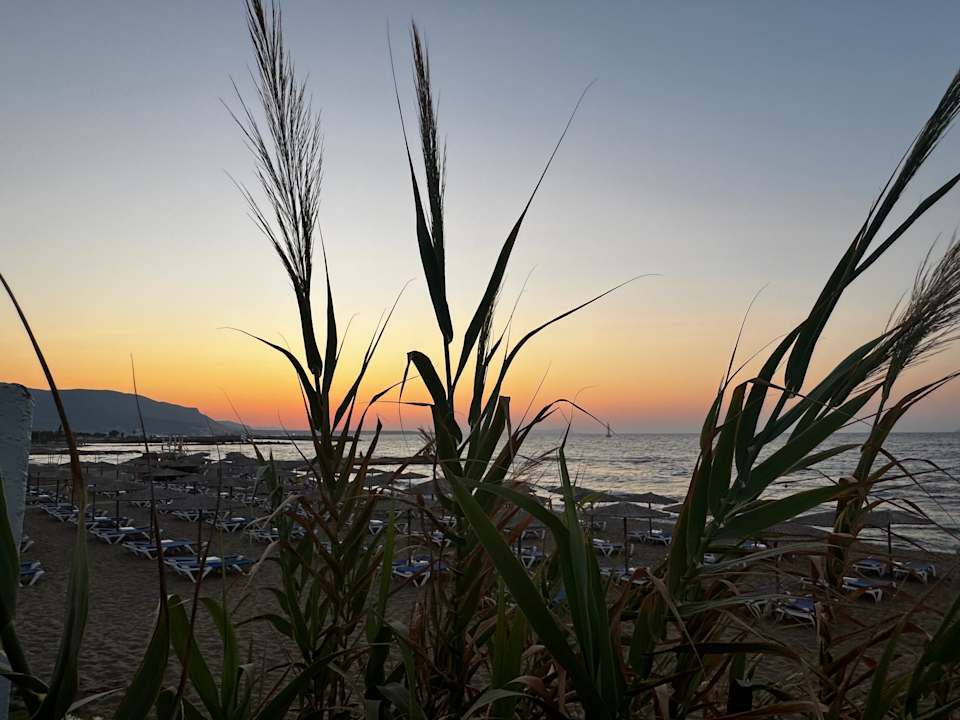 Außenansicht allsun Hotel Carolina Mare