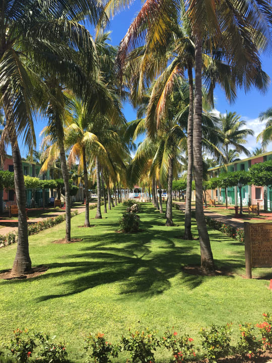 Gartenanlage Sol Hicacos