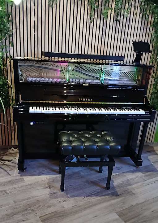 Lobby Trihotel Rostock