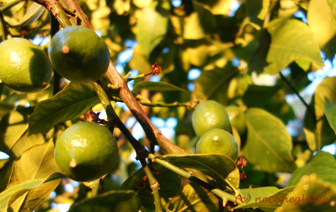 Sonstiges Seher Kumköy Star Resort & Spa