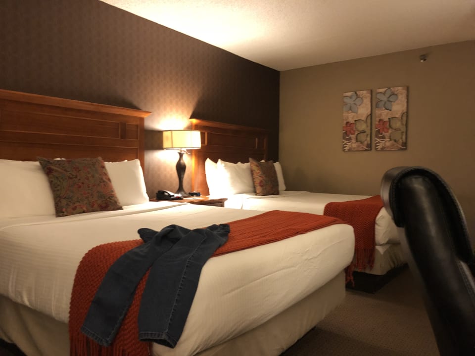 Zimmer Academy Hotel