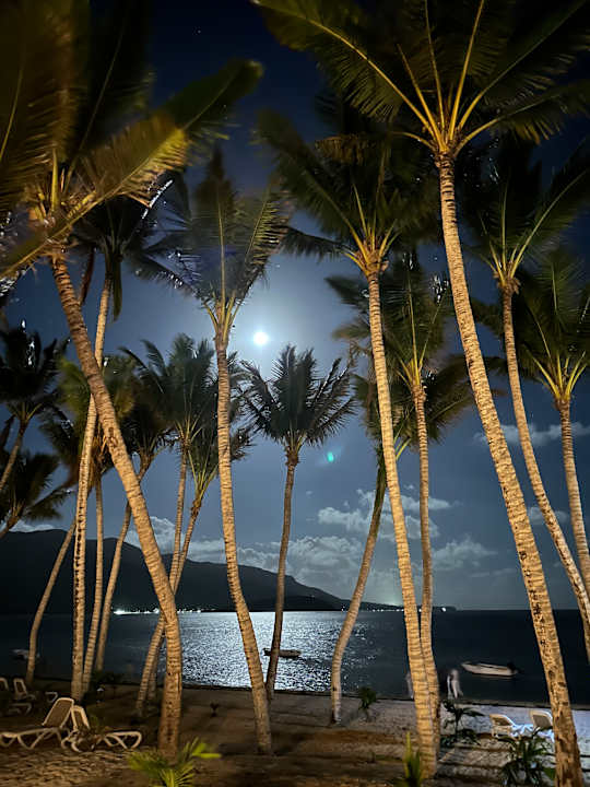 Strand Hotel Riu Turquoise