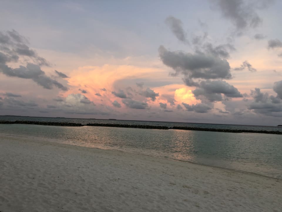 Strand Summer Island Maldives