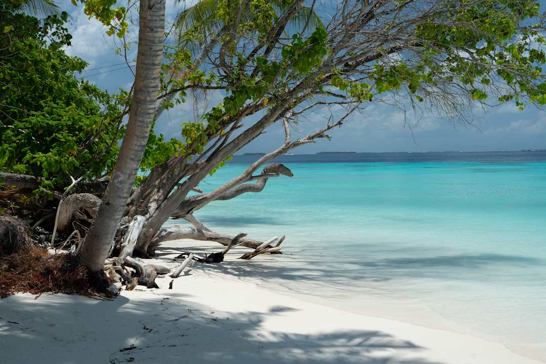 Strand AYADA Maldives