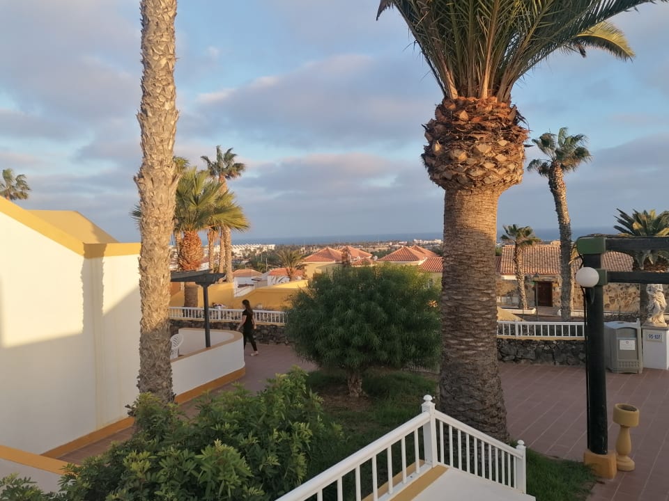 Ausblick MP Club Caleta Dorada