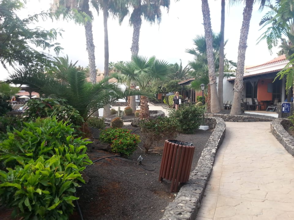 Ogród Barceló Fuerteventura Castillo