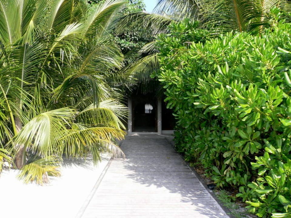 Richtung Rezeption Veligandu Maldives Resort Island