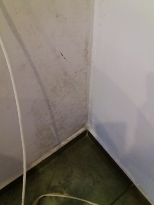 Zimmer Apartments Patrizia Romana Palace