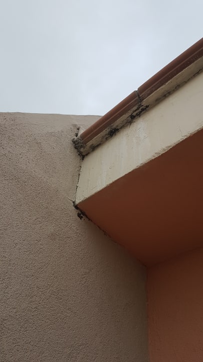 Außenansicht Blau varadero - Adults only