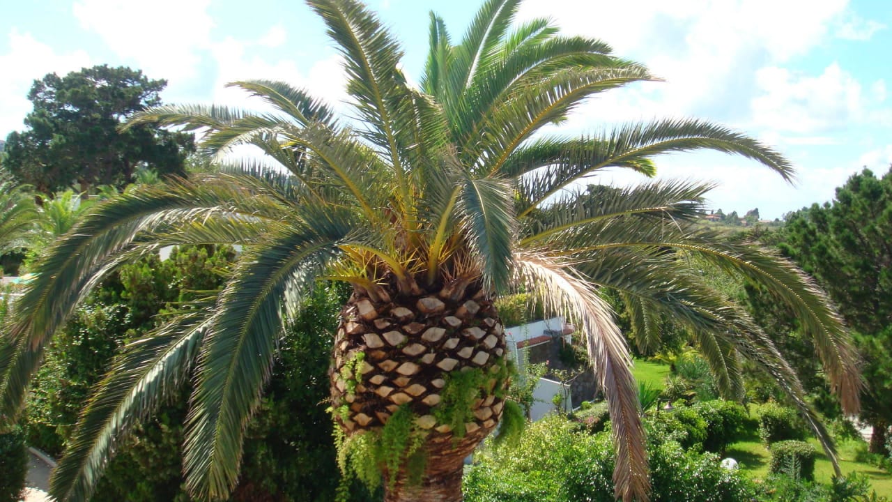 Tropisch Aldiana Club Rocca Nettuno Calabria