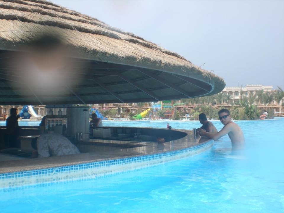 Poolbar Pickalbatros Palace Resort