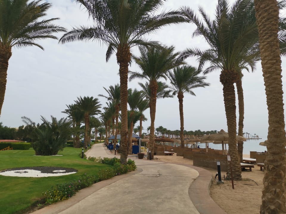 Strand Palm Royale Resort - Soma Bay