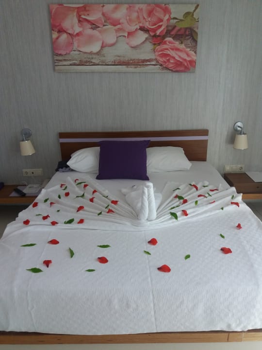 Zimmer Monachus Family Resort Sorgun