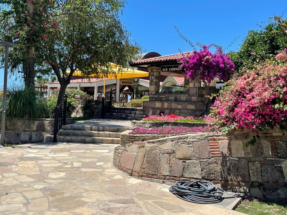 Gartenanlage Arum Barut Collection
