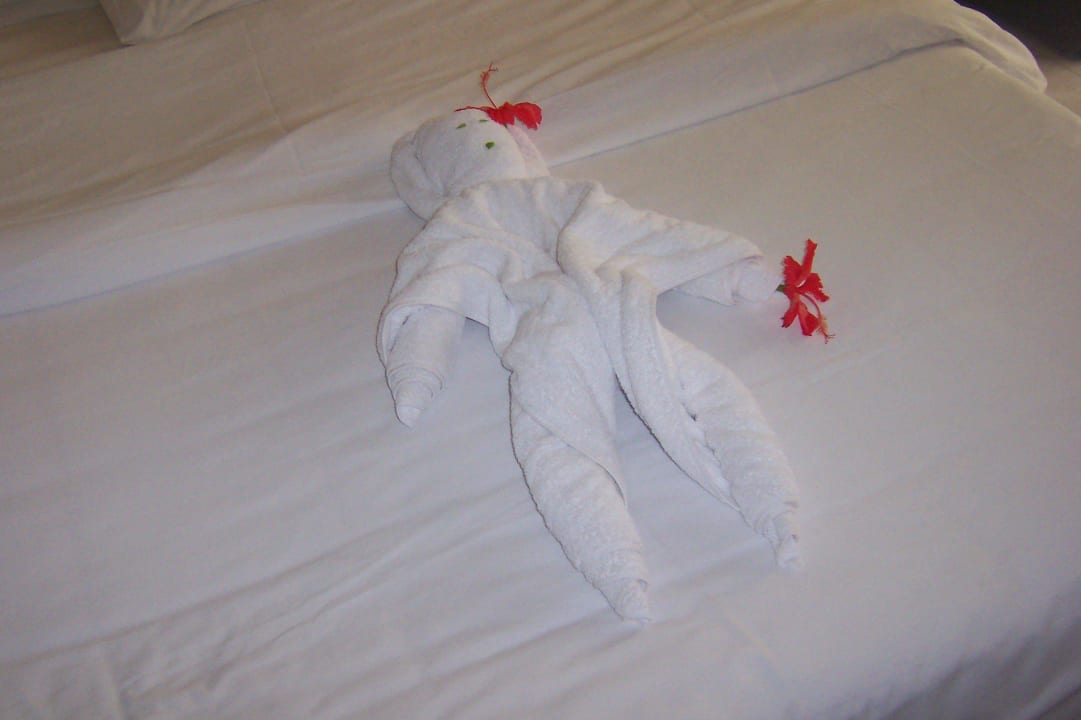 Bett sauber Ghazala Beach