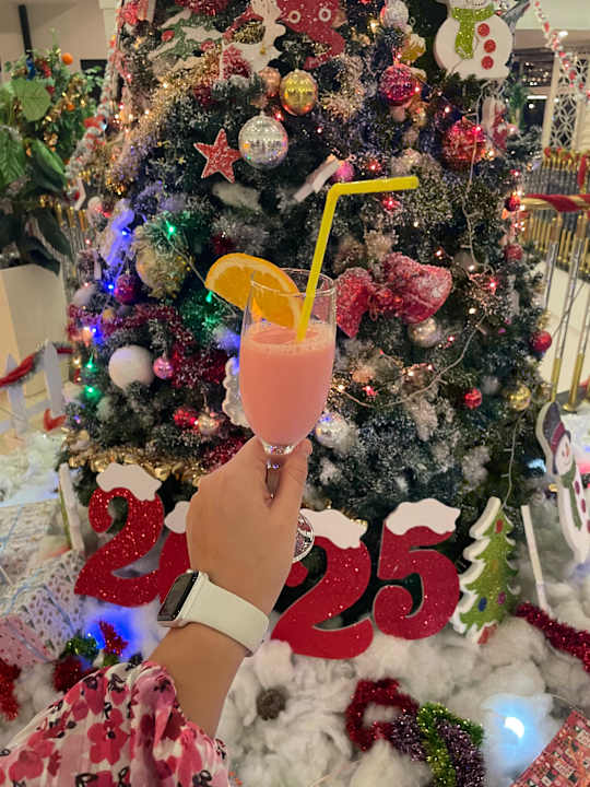 Lobby LRS Port River Hotel & Spa