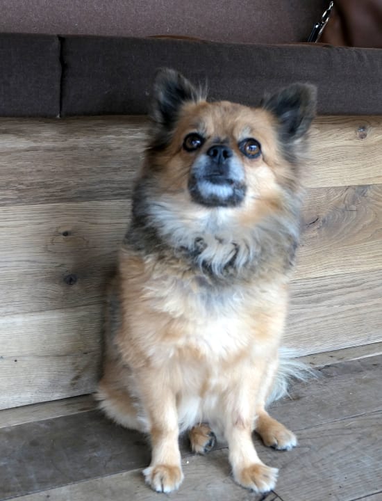 Sonstiges Riessersee Hotel