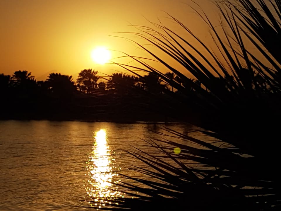Außenansicht Desert Rose