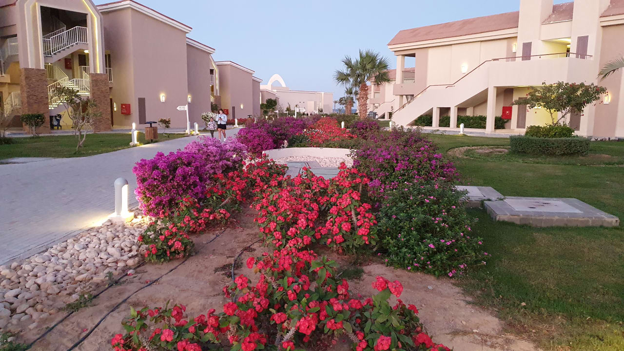 Gartenanlage Pickalbatros Sea World Resort - Marsa Alam