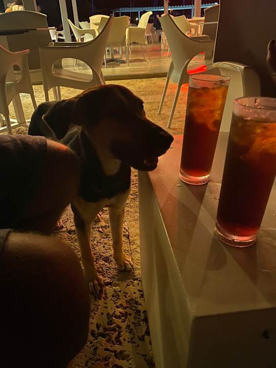 Sonstiges Wyndham Alltra Samana