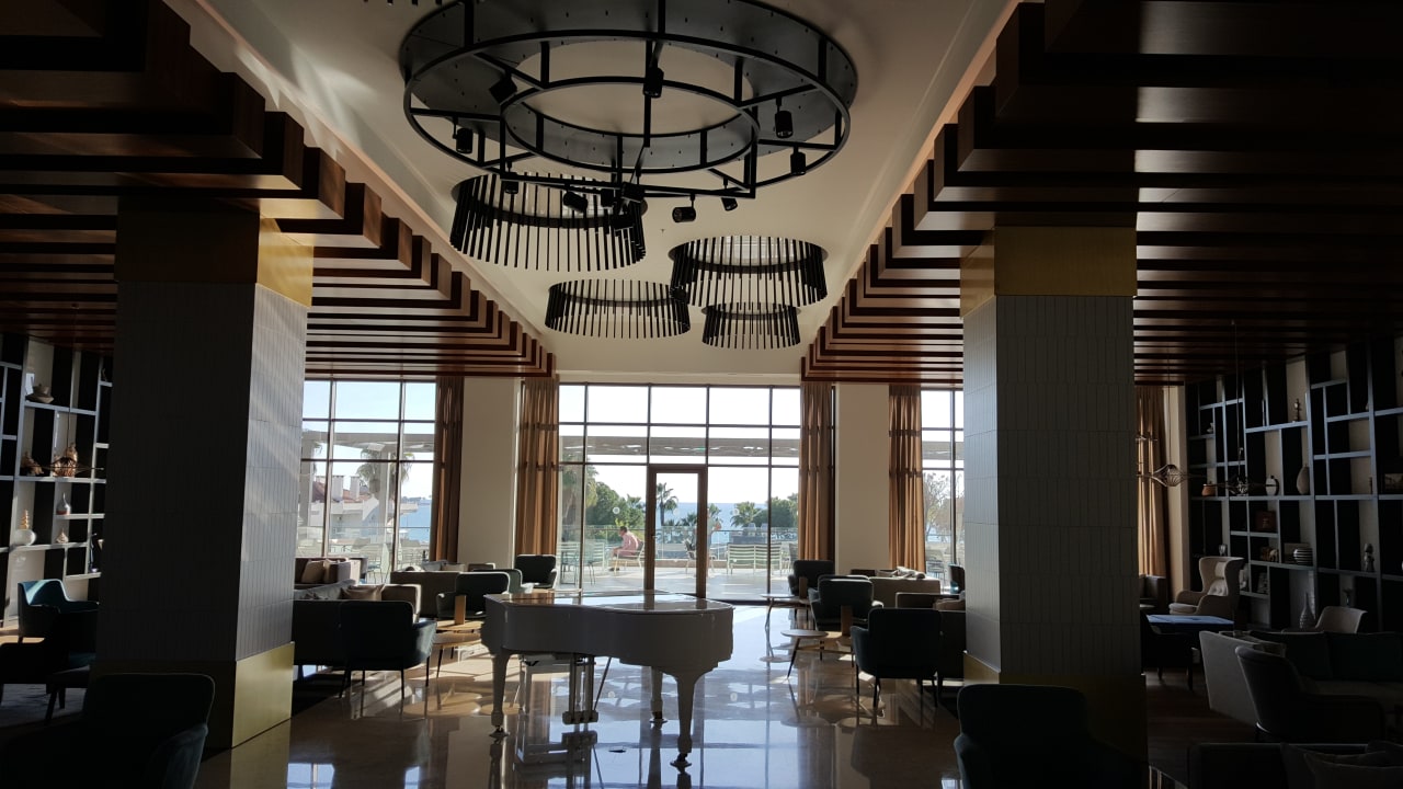 Gastro Acanthus Cennet Barut Collection