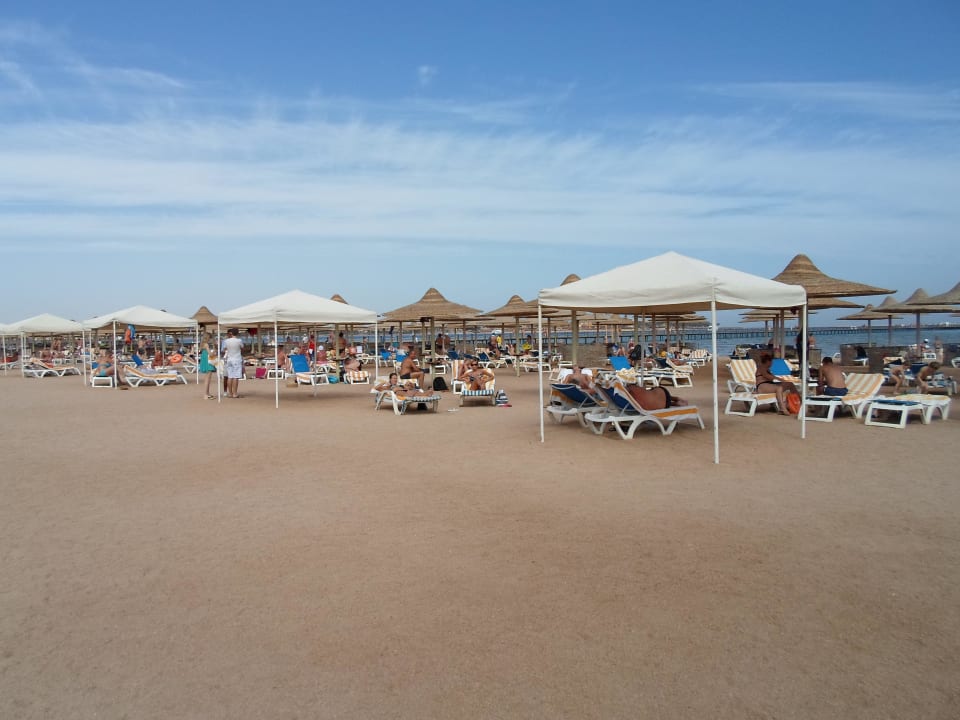 Лежаки Stella Garden Resort & Spa, Makadi Bay