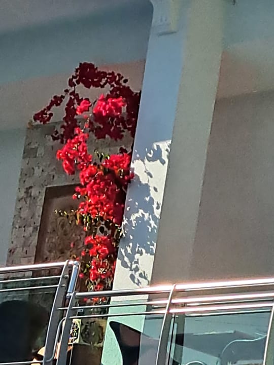 Sonstiges Merve Sun Hotel & Spa