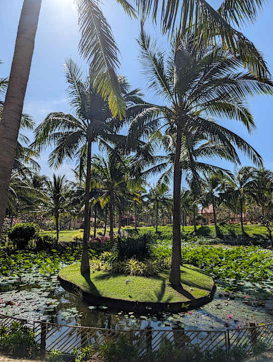 Gartenanlage Pandanus Resort