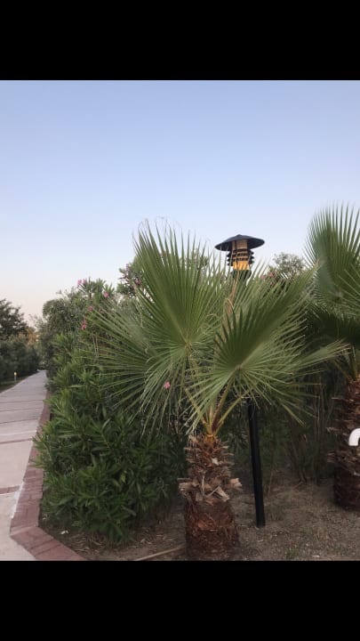 Gartenanlage Alba Queen Hotel