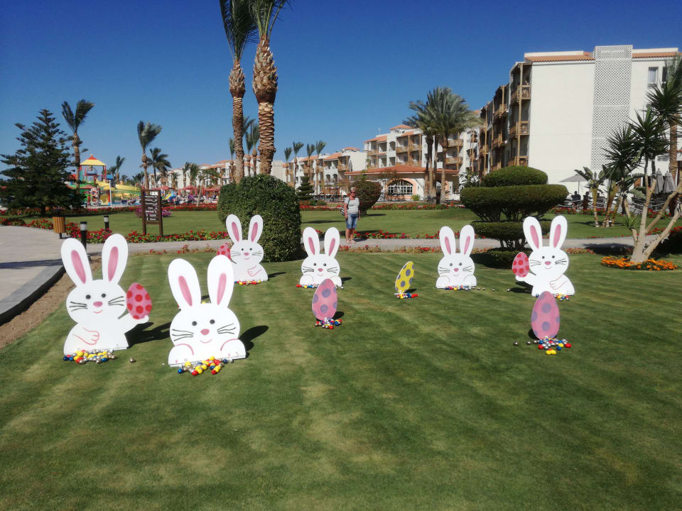 Sonstiges Pickalbatros Dana Beach Resort - Hurghada