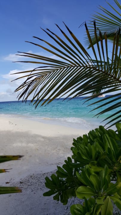 Ausblick vom Bungalow  Adaaran Select Meedhupparu Island Resort - Premium All Inclusive