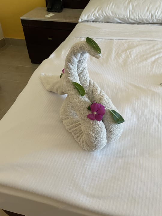 Zimmer Coral Sun Beach