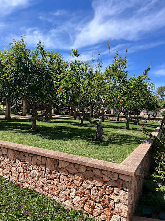 Gartenanlage Hotel Zafiro Alzinar Mar