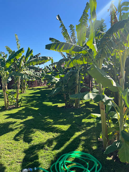 Gartenanlage VONRESORT Golden Beach