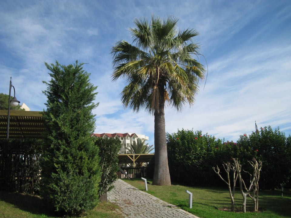 Garten Arcanus Hotels Sorgun