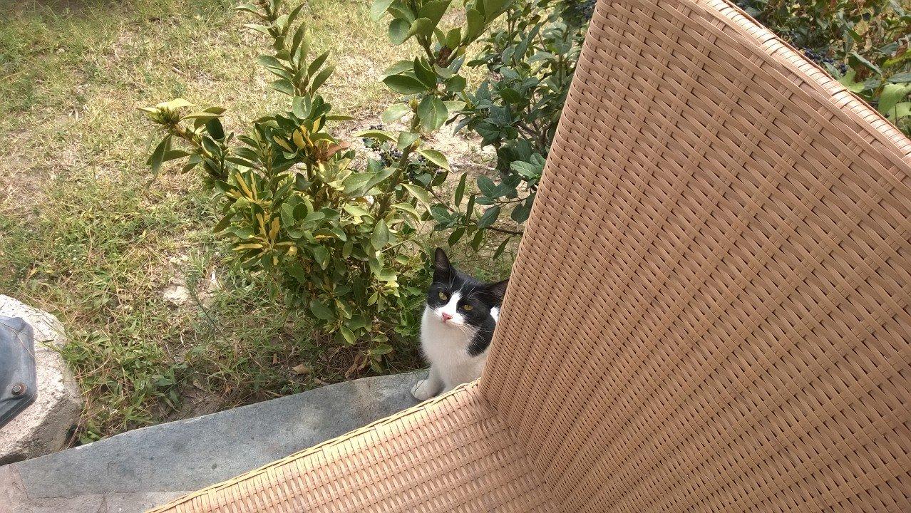 Besuch beim Essen alltoura Club Hotel Porto Angeli Beach Resort