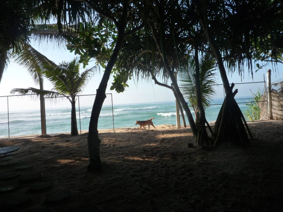 Das Gitter, mit welchem am Abend verriegelt wird. Hotel Haus am Meer Wilde Ananas