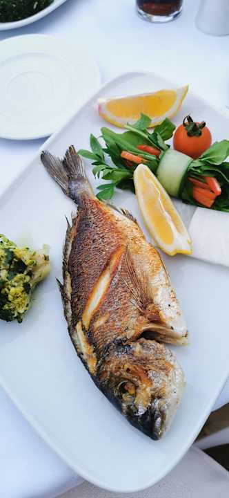 Gastro Sealife Family Resort Hotel