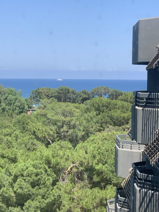 Gartenanlage Balmy Foresta