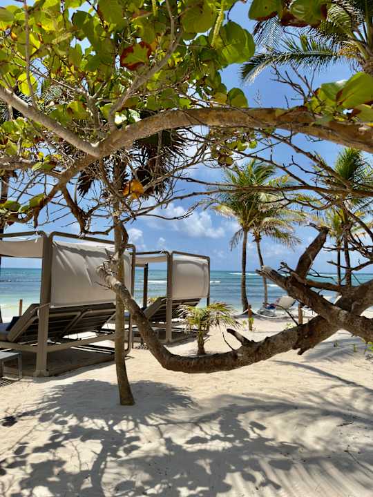Strand TRS Yucatan Hotel - Adults only