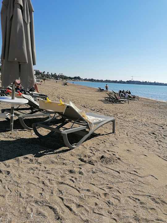 Strand Acanthus Cennet Barut Collection