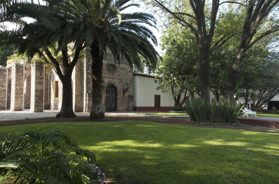 Jardín Palmeras Hotel Hacienda Jurica