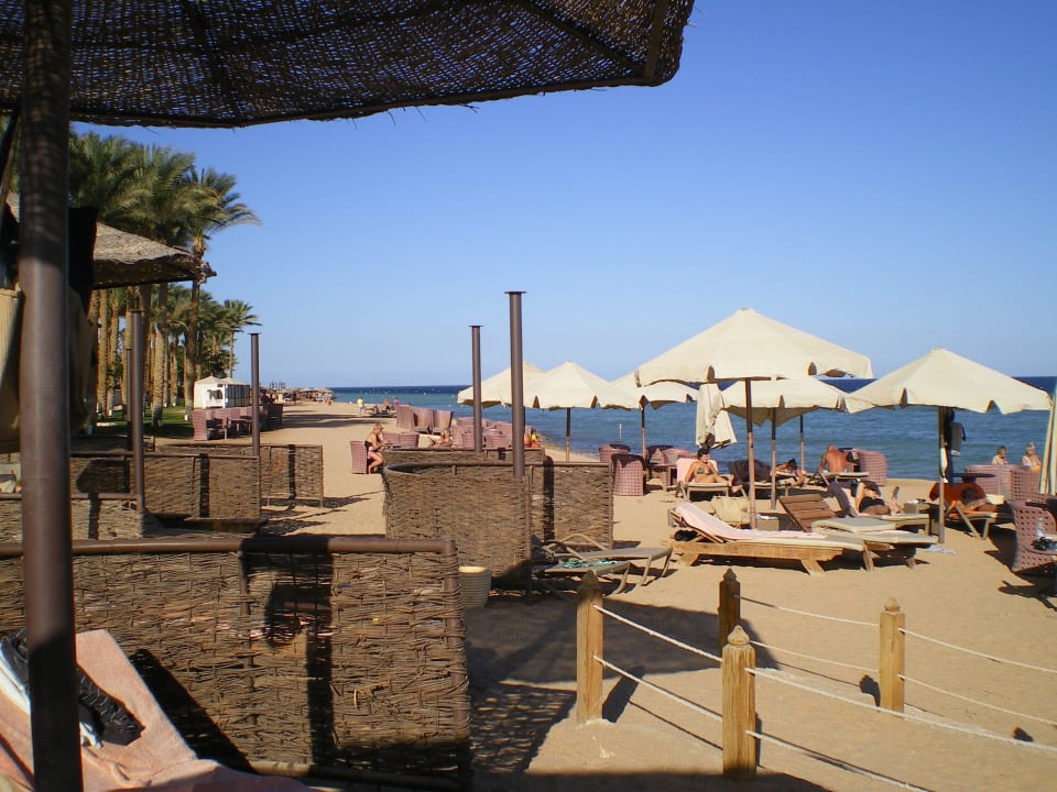 Liegen bis in den Barbereich geschoben Makadi Spa - Adults only