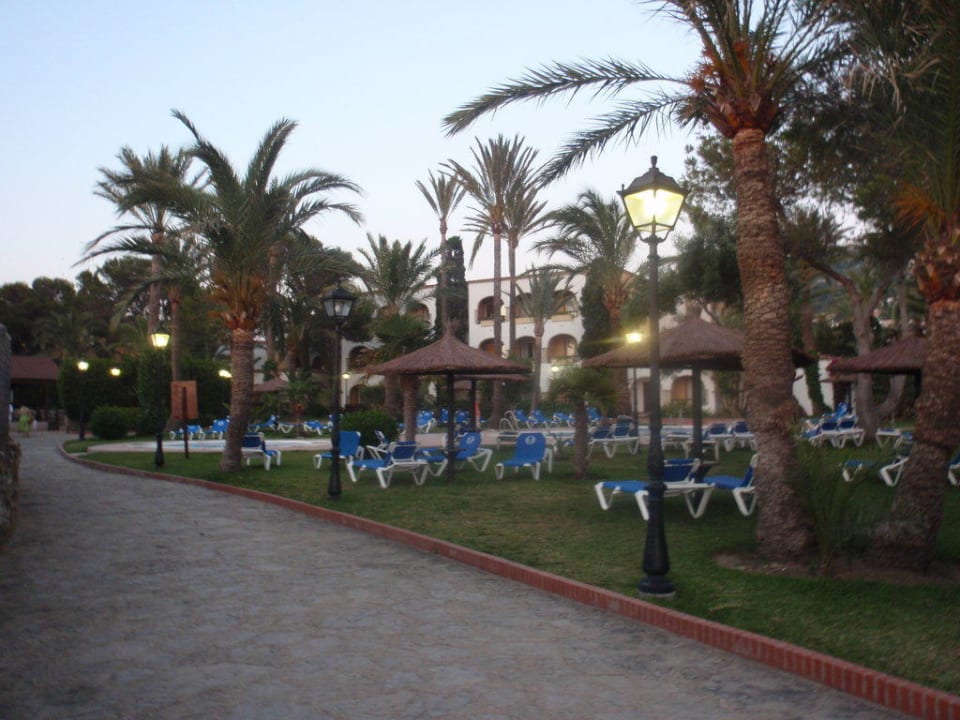 Poolanlage mit Palmen Meliá Zahara Resort & Villas