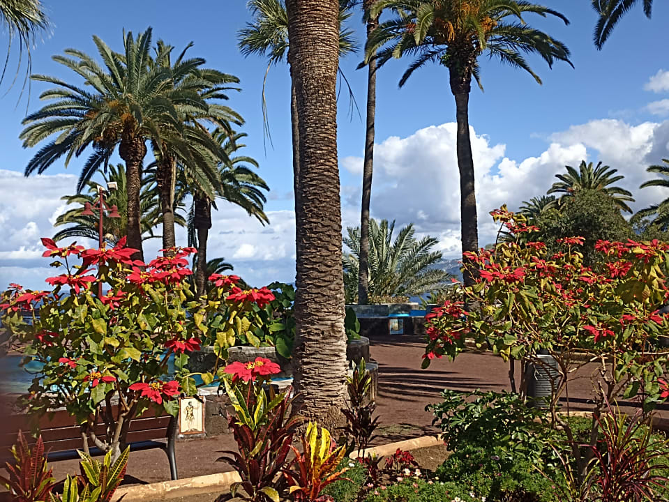 Gartenanlage TRH Taoro Garden