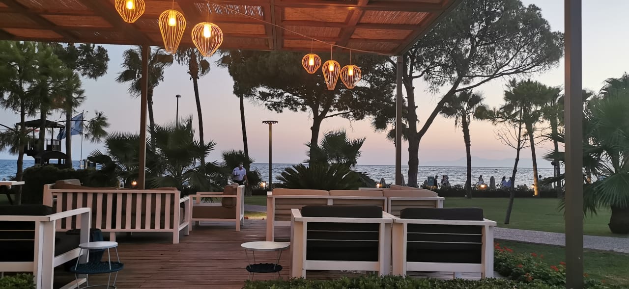 Gastro Acanthus Cennet Barut Collection