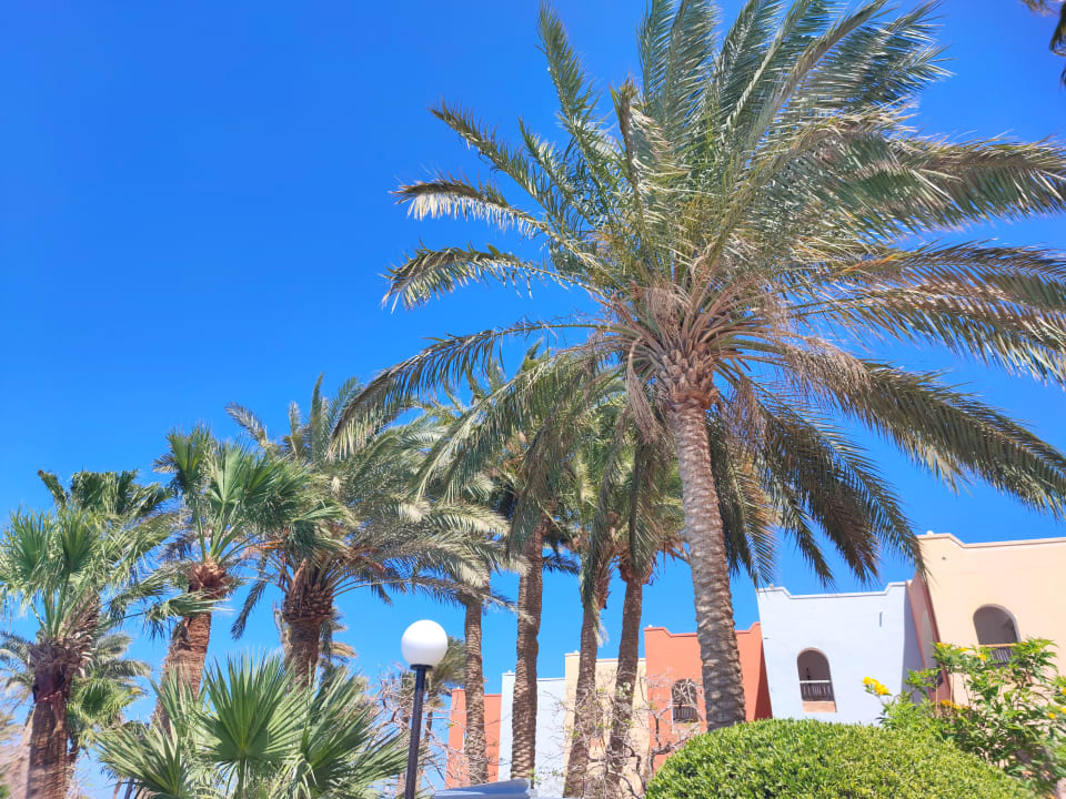 Außenansicht Arabia Azur Resort