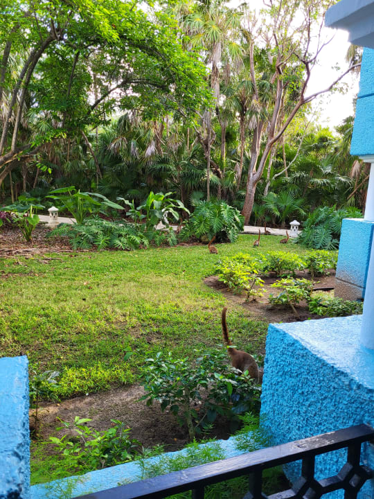 Zimmer Iberostar Waves Paraiso Beach