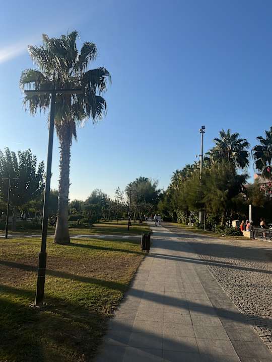 Außenansicht Well Palace Side